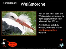 Fehlerlesen-Weißstorch-Übung.pdf